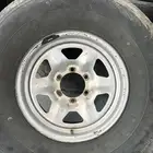 جنوط للبيع
