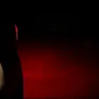 دجاجه البيع نوع سنديه معه4 فروخ مشروطه تحضين وبيضه سوم85