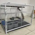 قفص قطط للبيع