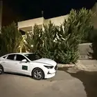 سفريات عمان تبوك الاردن السعوديه
