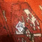 زرقون مربع 50  على السوم الفص