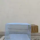 البيع