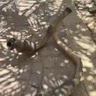 واي بايب وكالة
