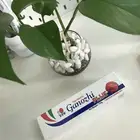 معجون جانوزي