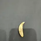 ناب ذيب