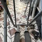 غزال طاير
