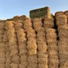 برسيم ناعم مخزن صيفي فرخر