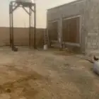 حظيرة دواجن للإيجار جاهزة من مراوح وتكييف