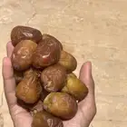 تمر مكتومي رطب الكميه محدوده