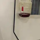 قفص عصافير