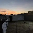 حوش غنم للاجار