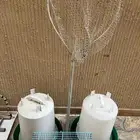 مستلزمات طيور للبيع