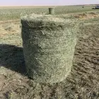 لفات رودس. ((( مبيوعه)))