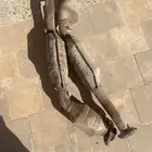 دبة بيئة غير مفرغة فيه رصاص