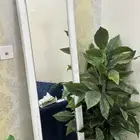 طاولة خدمة ومرايا