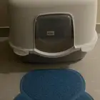 ليتر بوكس قطط