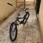 سيكل كوبرا 24