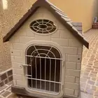 بيت قطط او كلاب