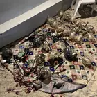 نجف نظيفه للبيع