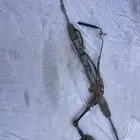 دودة جمس 2006