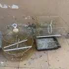 قفص طيور