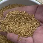بذور برسيم ( صيب)