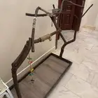 ستاند طيور