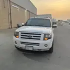 فورد اكسبيدشن 2010