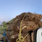 برحي وخلاص