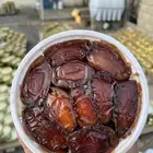 تمر صفري بيشه