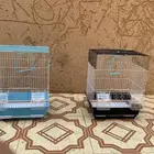 شبك طيور زينه