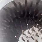 نتف ريش طيور