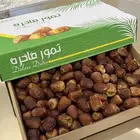 تمر جالكسي