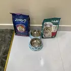 مستلزمات قطط