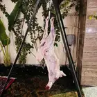 معلم مشويات شوي
