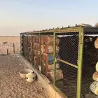 شبك حمام للبيع