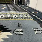 خاتم رجالي نضيف