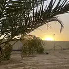 استراحة ومزرعة للايجار