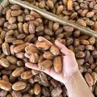 صفري حبه وسط جعبة