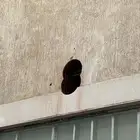 جميع انواع القص