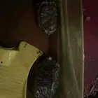 سلاحف للبيع