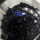 سمكه فايبر