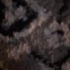 للبيع افياش محول