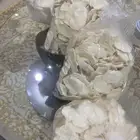 سمن بقل