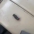 فلاش اناشيد