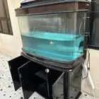 حوض سمك للبيع
