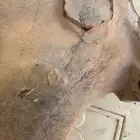 شكمان نيسان وكاله