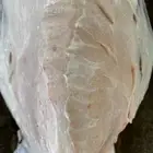 حاشي لباني من البر إليكم والحم شرط مضمون ف الصحن