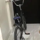 سيمل كوبرا صيني