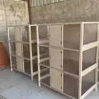 حضانات صيصان